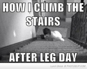 after-leg-day